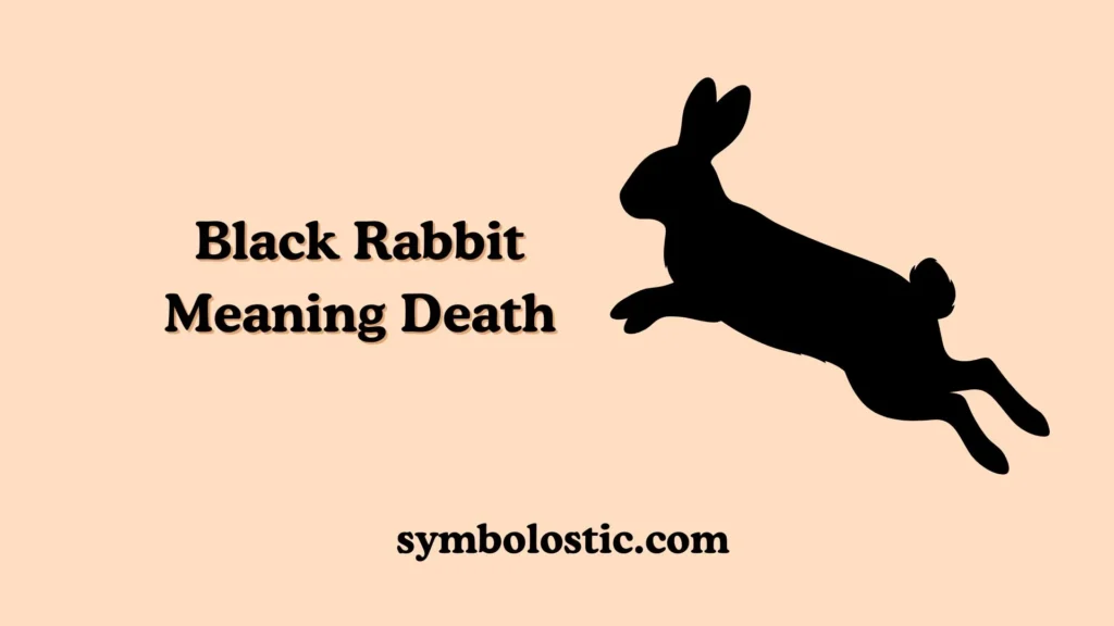 Black Rabbit Meaning in a Dream