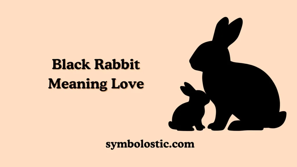Black Rabbit Meaning Love