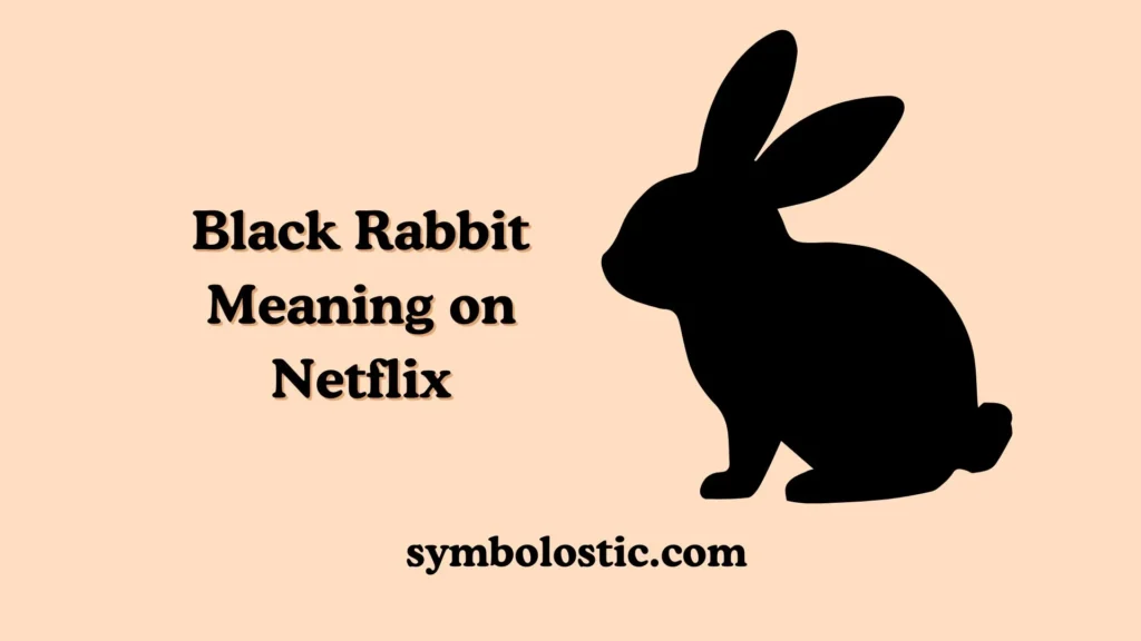 Black Rabbit Meaning on Netflix