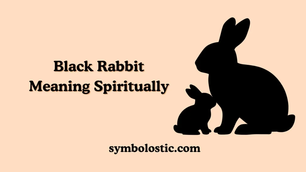 Black Rabbit Meaning Spiritually