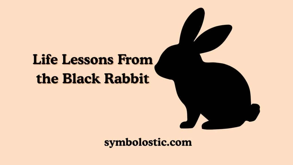 Life Lessons From the Black Rabbit