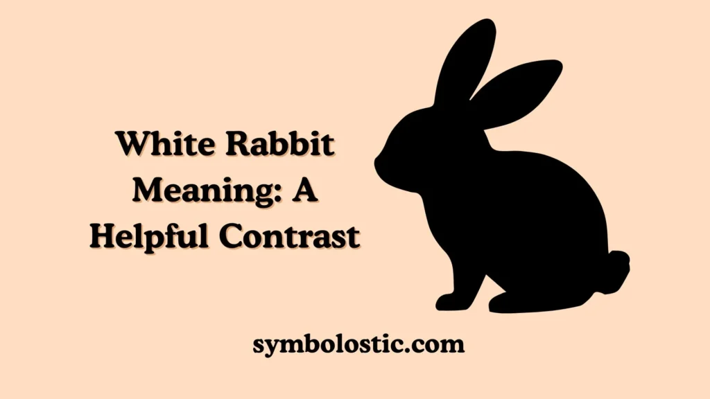 White Rabbit Meaning: A Helpful Contrast