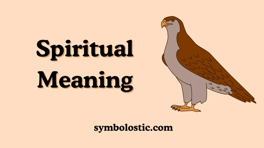 🌿 Spiritual Meaning
