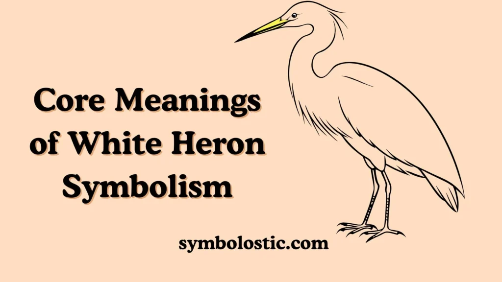 Core Meanings of White Heron Symbolism