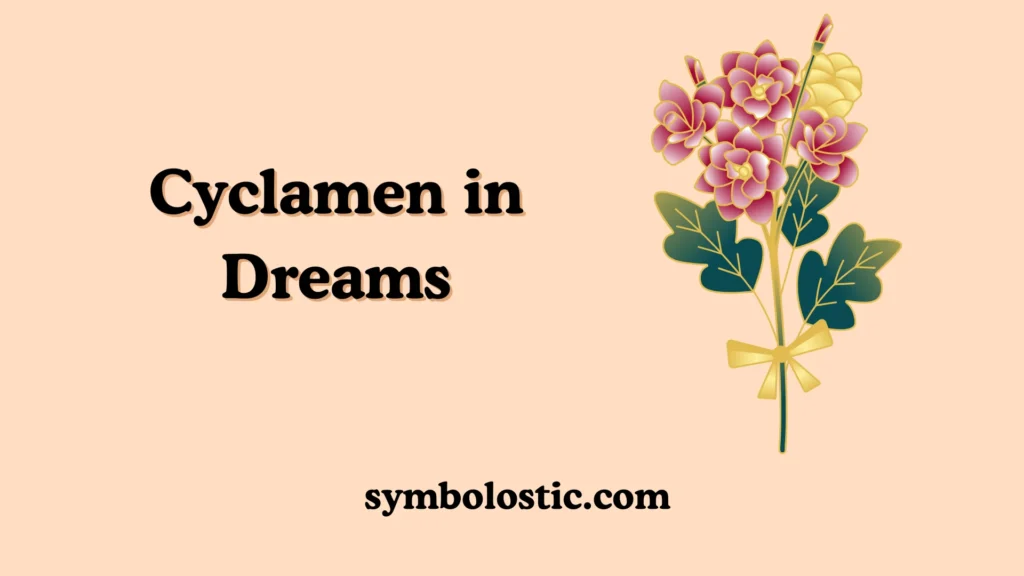 Cyclamen in Dreams