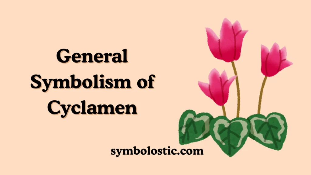 General Symbolism of Cyclamen