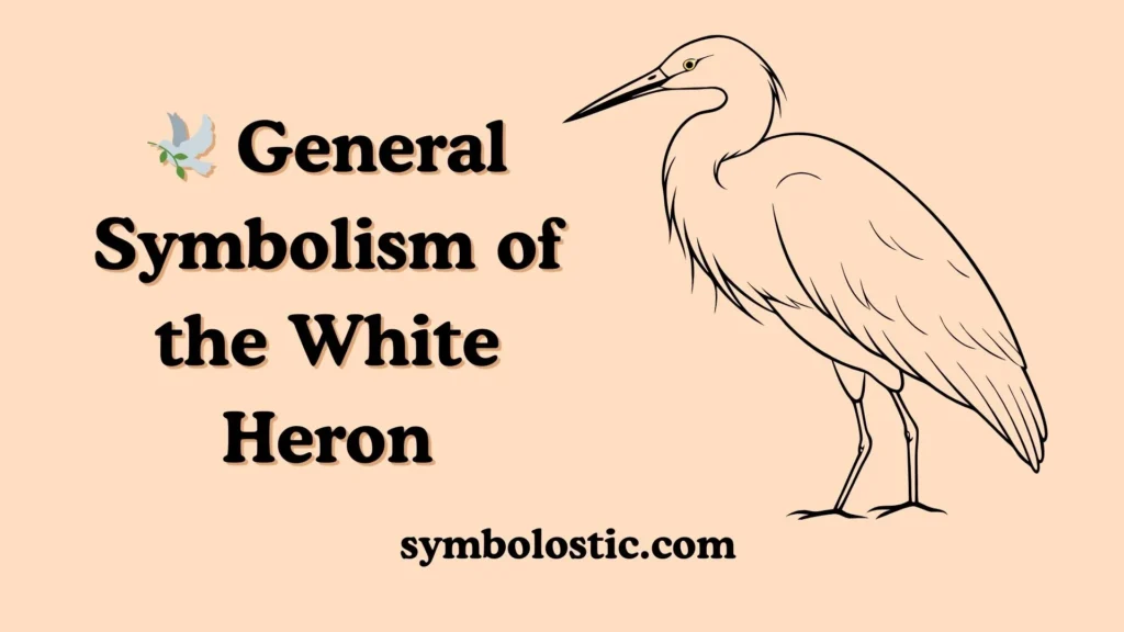 🕊️ General Symbolism of the White Heron