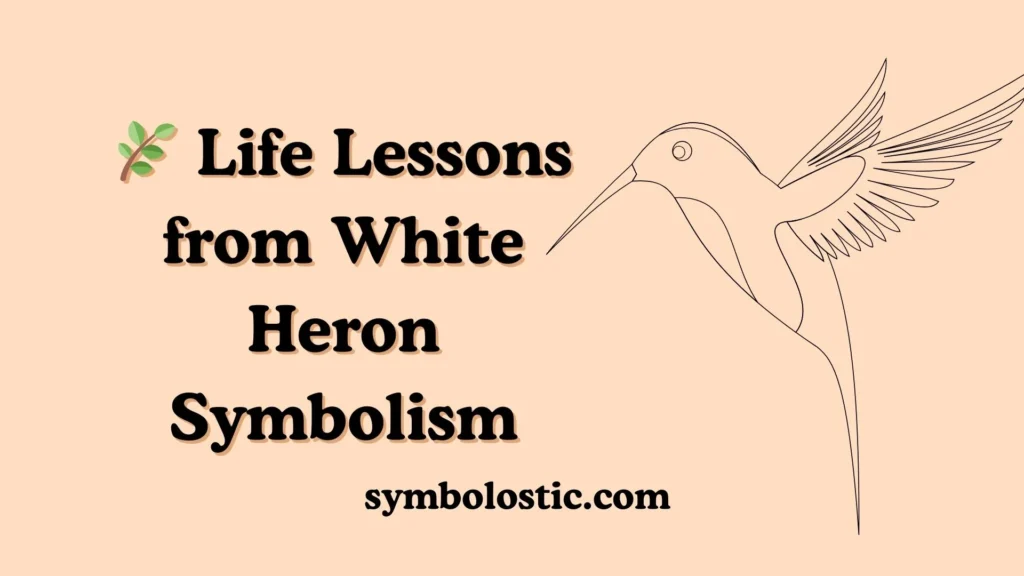 🌿 Life Lessons from White Heron Symbolism