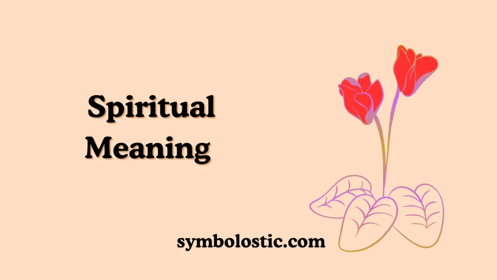 Spiritual Meaning