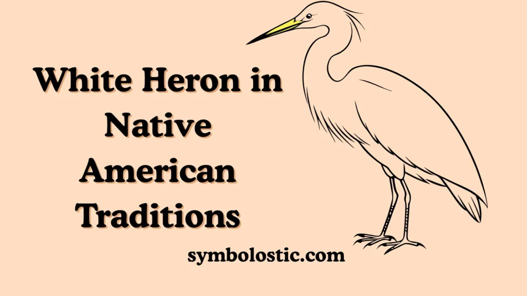 White Heron in Native American Traditions