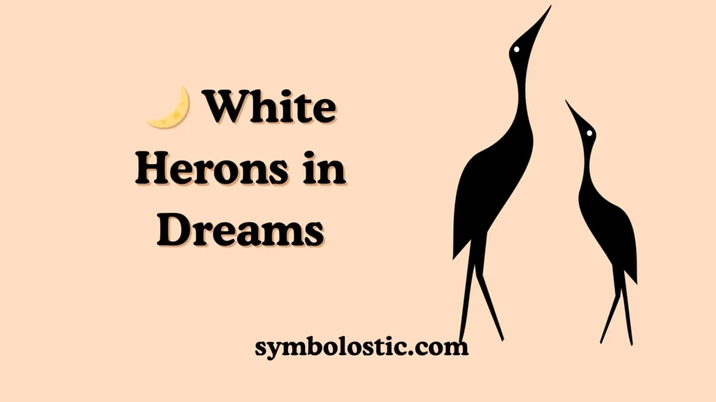 🌙 White Herons in Dreams