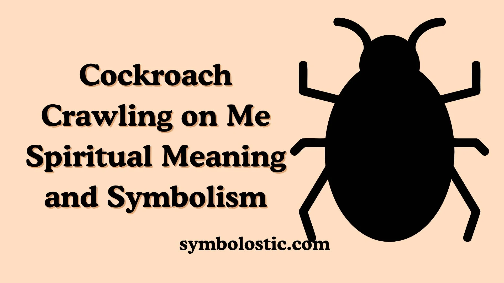 Cockroach Crawling on Me Spiritual Meaning and Symbolism