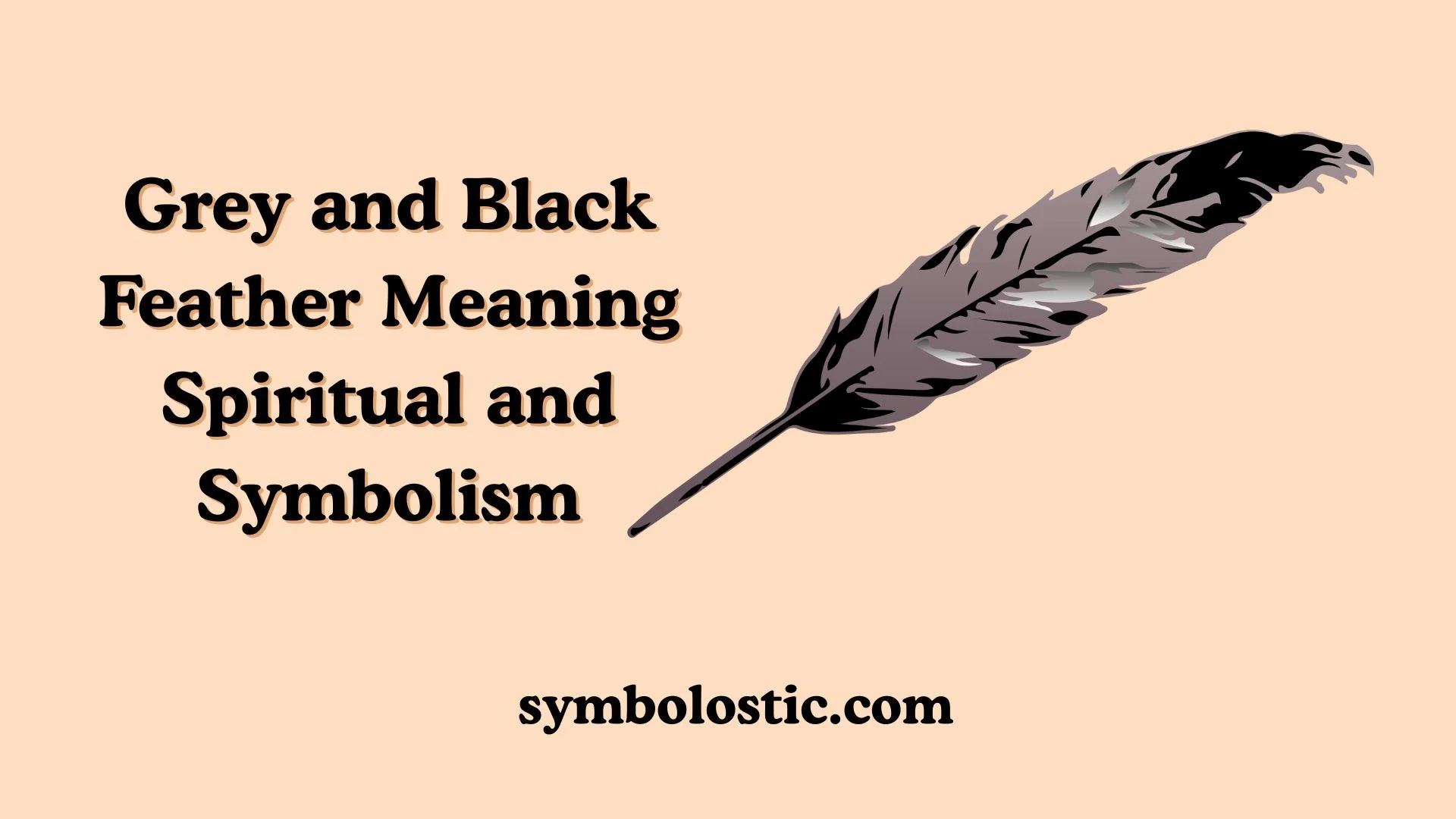 Grey and Black Feather Meaning Spiritual and Symbolism